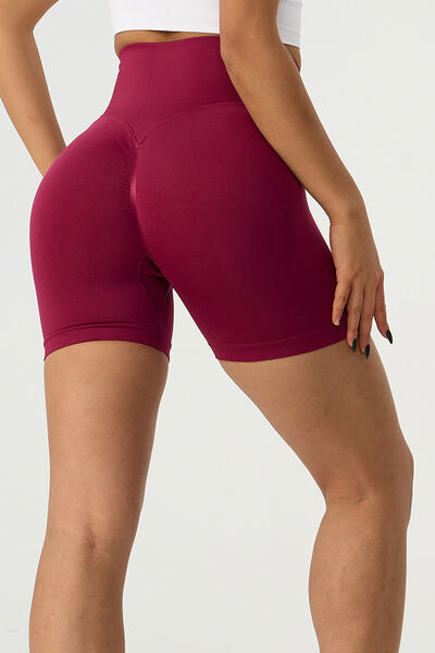 High Waist Wide Waistband Active Shorts