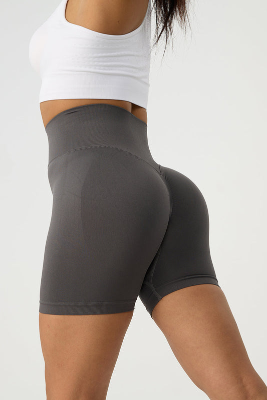 High Waist Wide Waistband Active Shorts